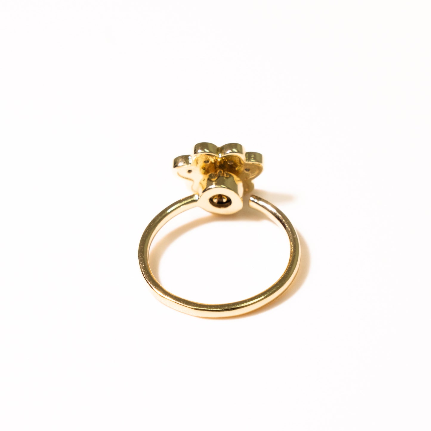 Anillo Anti Estrés Huella - Agosto 18