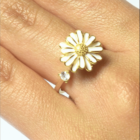 Anillo Plata S925 Antiestrés Arelis