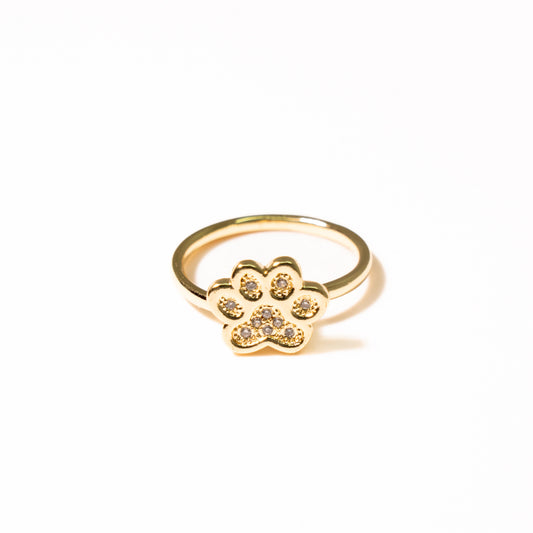 Anillo Anti Estrés Huella - Agosto 18