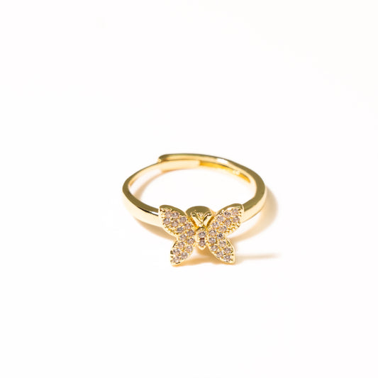 Anillo Anti Estrés Mariposa - Agosto 18